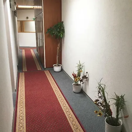 Отель Aslan74 *